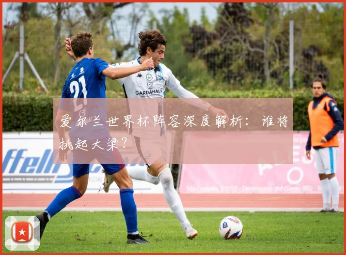 爱尔兰世界杯阵容深度解析:谁将挑起大梁?