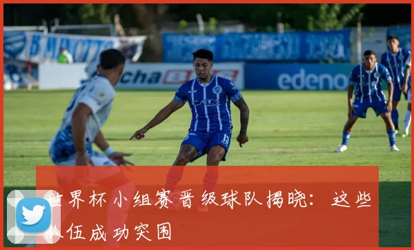 世界杯小组赛晋级球队揭晓:这些队伍成功突围