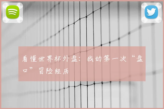 看懂世界杯外盘：我的第一次“盘口”冒险经历