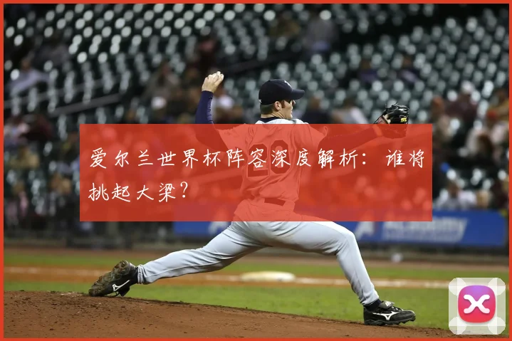 爱尔兰世界杯阵容深度解析:谁将挑起大梁?