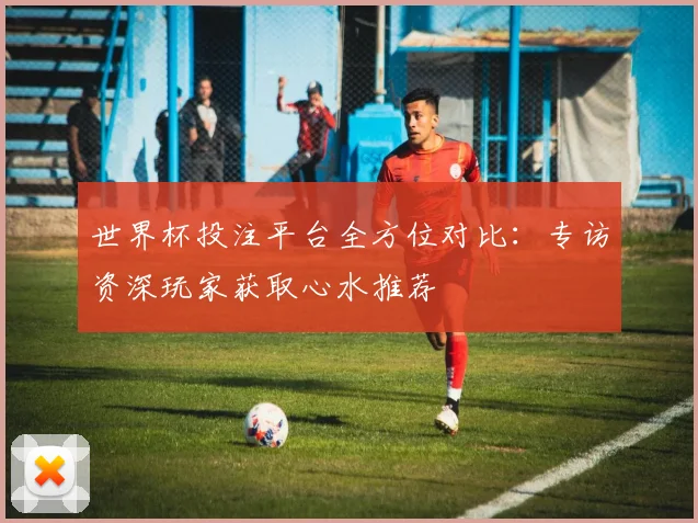世界杯投注平台全方位对比:专访资深玩家获取心水推荐