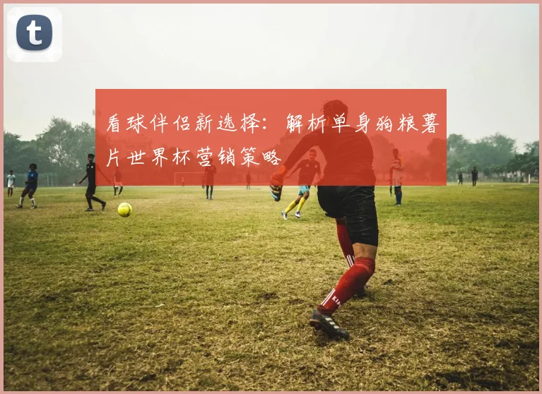 看球伴侣新选择：解析单身狗粮薯片世界杯营销策略