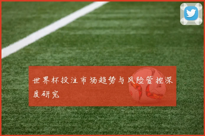 世界杯投注市场趋势与风险管控深度研究