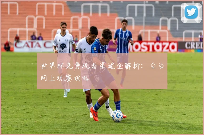 世界杯免费观看渠道全解析：合法网上观赛攻略