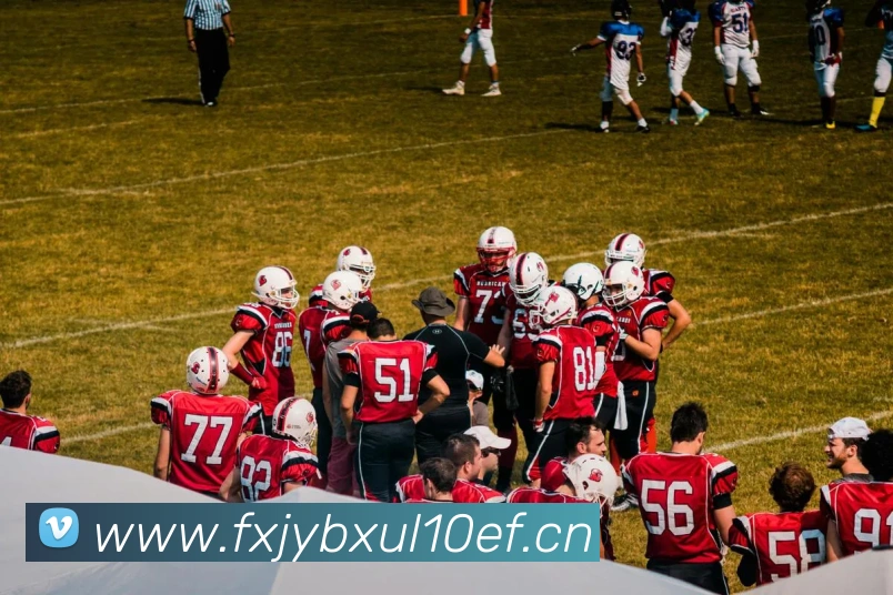 乐鱼网页版登录入口平台生态图