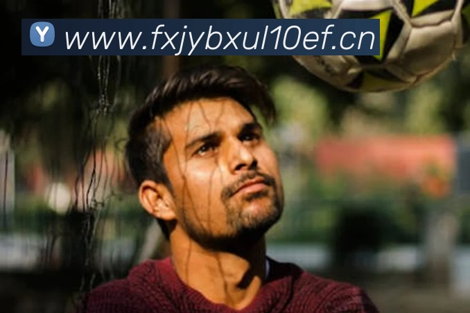 乐鱼网页版登录入口全站App